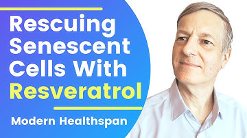Rescuing Senescent Cells With Resveratrol | Review By Modern Healthspan