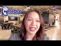 INTERNSHIPS | What is it like to work at Cerebro?