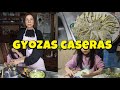 aprende a preparar Gyosas caseras!!+ Mayra en tu cocina