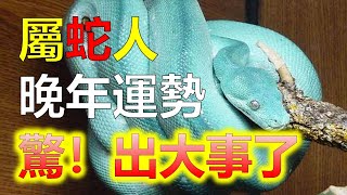 阿南德預測2024生肖運勢，屬蛇人後半生都走什麼運，屬蛇人後半生的運氣怎麼樣其實，人的命運各不相同，但不管前半生過得如何，每個人都希望自己安心度過晚年。屬蛇人性格穩重，屬蛇人一生十二生肖（生肖蛇）