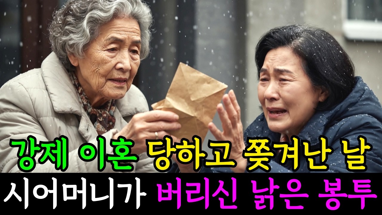 강제 이혼당하고 쫓겨난 날, 시어머니가 버리라고 건넨 낡은 봉투의 정체ㅣ노후사연ㅣ감동사연ㅣ사연라디오ㅣ오디오북