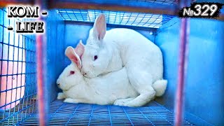 видео: 💟 Едем за женой для  картинка: 💟 Едем за женой для