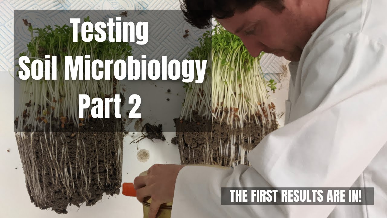 Do plants grow better with soil life? Part 2 YouTube