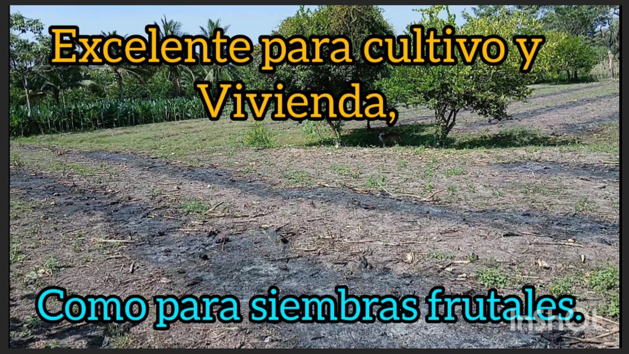 Que lindo terreno,vean como se vé ya muy limpio ,alguien desea comprarlo,como para huerta  frutales.