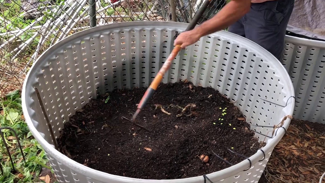 LIFE: Science Shorts — Composting and Renewable Energy