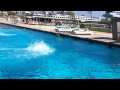 IMG_0024.MOV
