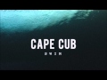 Cape Cub - Swim (Hannes Fischer Remix)