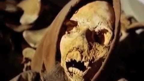 James Plotkin - Plunge