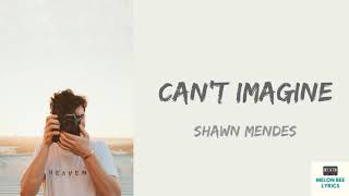 Shawn Mendes- Can't Imagine (lyrics)