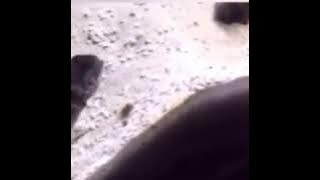 Video lucu kata baba 😂😂😂