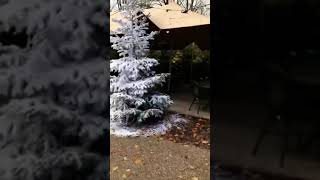Winter Efteling 2020-2021 de warme winter weide