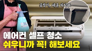 에어컨 청소 매년 해야하는 거 아시나요? 곰팡이, 세균 폭탄 셀프 청소 방법