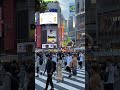 東京渋谷