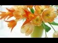 【癒し・ヒーリングBGM】聴くだけでイライラが解消される。癒しのオルゴール曲集