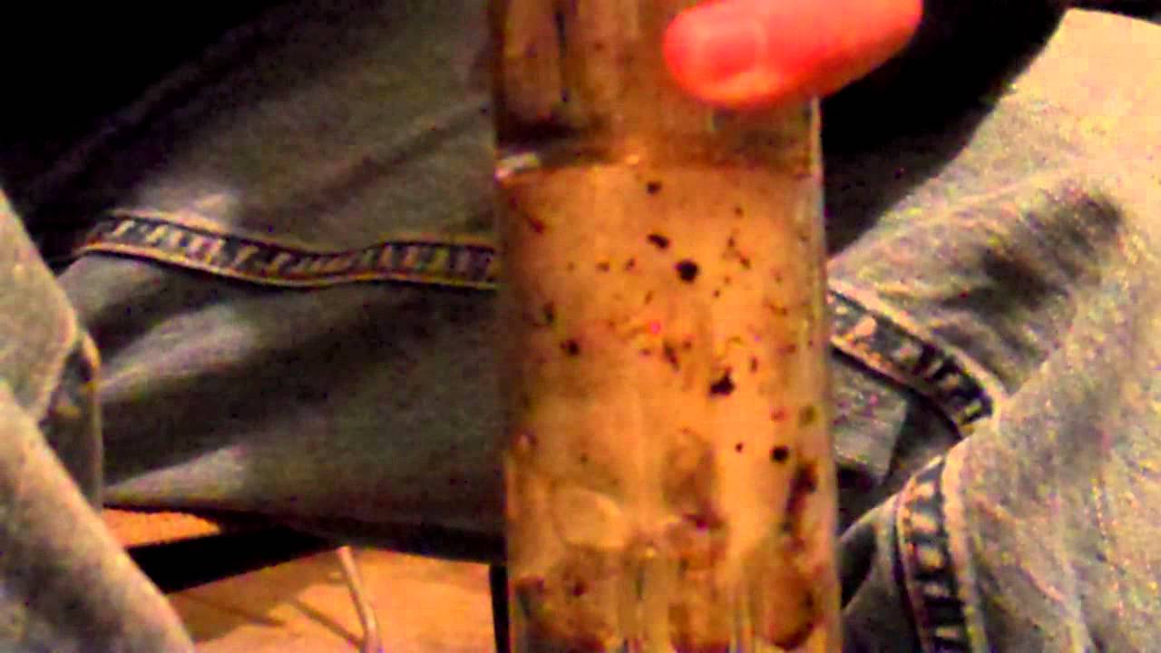 Taylor the bong 3 - YouTube