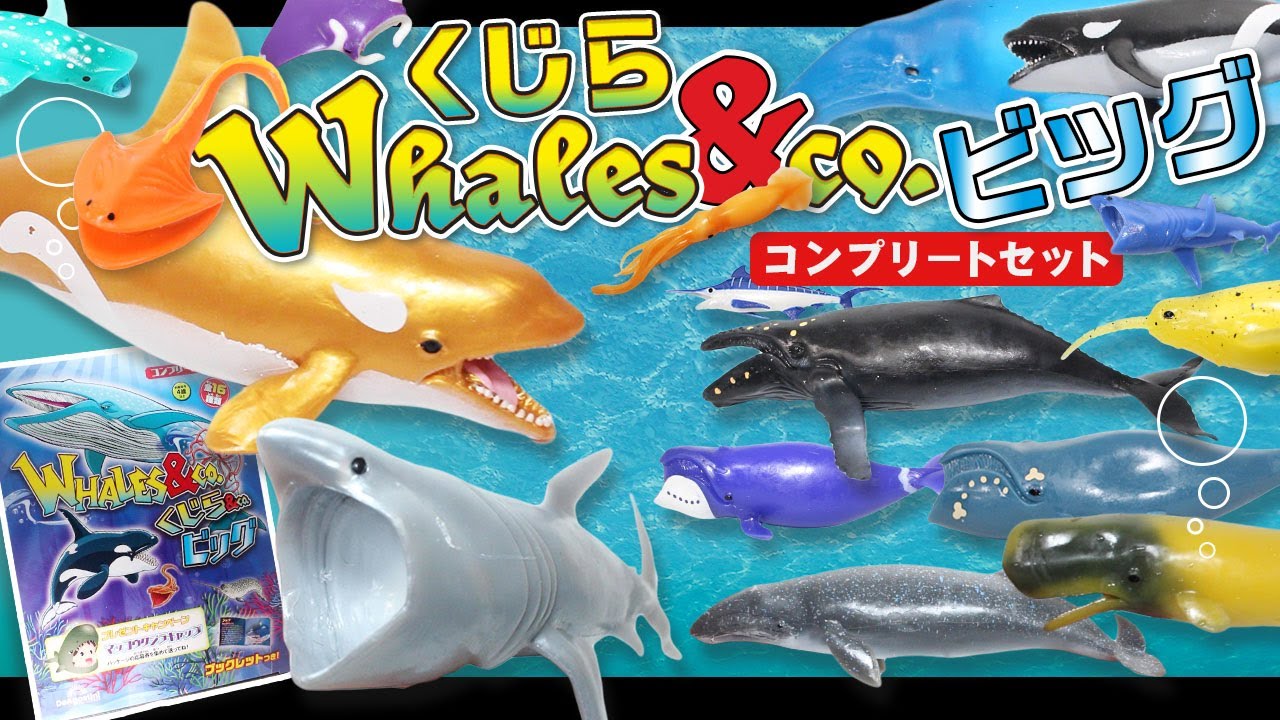 くじら＆Co.（アンドコ）ビッグ 16種コンプリートセットWHALES＆Co.-