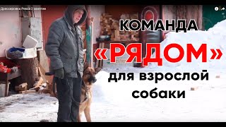видео: Команда  картинка: Команда