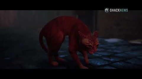 Stray Full Game Walkthrough | PC | No Commentary