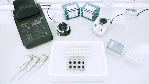 Constructing RNA library from single cells