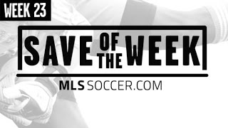 2014 Save of the Week Nominees: Week 23
