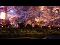 Seeing cherry blossoms on a small boat alone at night