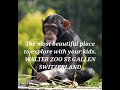 Walter zoo st gallen switzerland