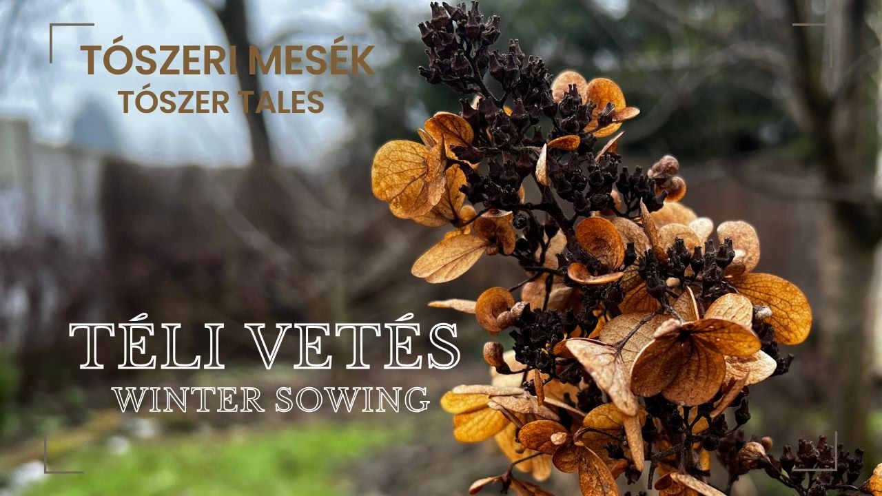 Téli vetés - könnyen, olcsón | Winter sowing  - An Easy and Cheap method|