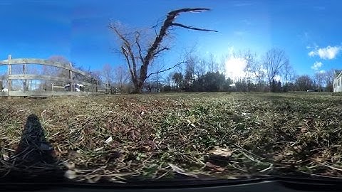 Tree hits camera - 360 degree video - Part 1