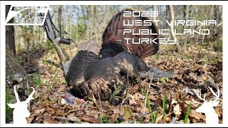 2023 West Virginia Public Land Turkey Hunt!