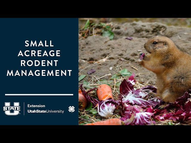 Small Acerage Rodent Management