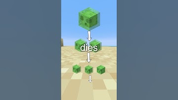 What Is The Slime In Minecraft?