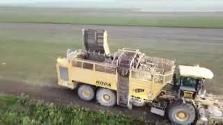 2020 Ropa Pancar Sokumu Altı Sıralı Pancar Hasat Makinası