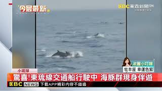 最新》驚喜！東琉線交通船行駛中 海豚群現身伴遊 @newsebc