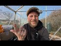 UK Allotment Update | Raised Bed Gardening Made Easy | February