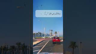 Beautiful Quran recitation by qari #trending #viral #islamiceducation #QuranicWisdom-i