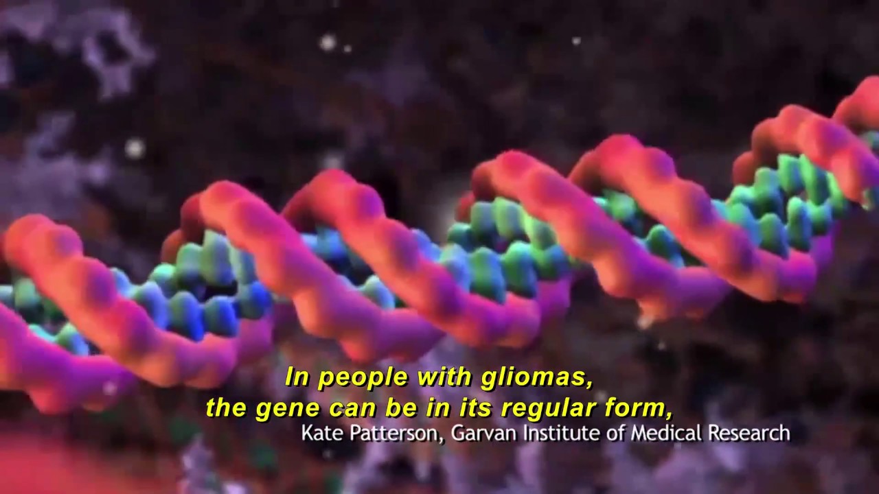 12 - Brain Cancer: IDH gene