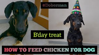 How to feed Chicken ? | Birthday Treat | TAMIL | RAGUL RAM by Ragul Ram 1,403 views 2 years ago 10 minutes, 56 seconds