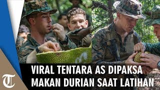 Viral Tentara Amerika Serikat Dipaksa Makan Durian Dan Nangka Saat Latihan Survival Di Hutan