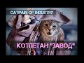 КОТпетан "ЗАВОД" (Captain of Industry) - Шкафы и табуретки ep.11