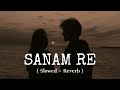 Sanam Re - Slowed + Reverb Arijit Mp3 Song