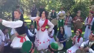 جاپانی/Japani ( Pashto music )