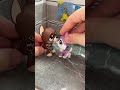 Nueva serie MUY PRONTO ✨🧩 #littlestpetshop #fypシ #lps #viral #frases