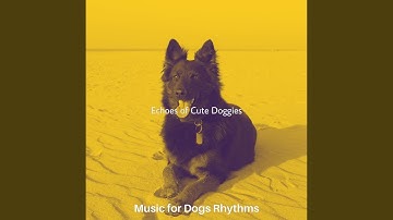 Pulsating Moods for Relaxing Puppies