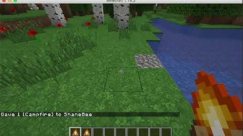 Spigot clearing NBT from items