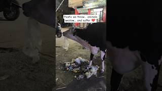 Stop using plastic 🚫 it kills cows silently 💔 save animals, save Earth ♻️ act now/share.#fyp #viral