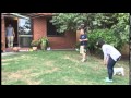 In Home Puppy Training Melbourne with Positive K9 Training In Home Puppy Training Melbourne with Positive K9 Training