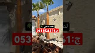 نخل وشنطني للبيع:0531528941 جميع المقسات وجميع الكميات متوفره توصيل لجميع مناطق المملكة الرياض جدة