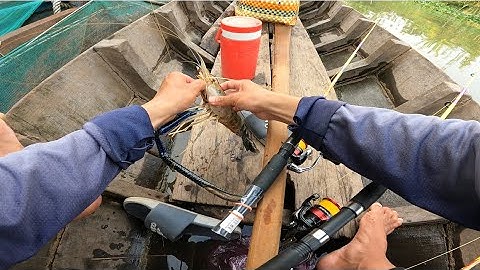 Câu tôm càng xanh trúng ngây ổ tôm lên tôm liên tục kéo quéo đọt cần phê cả tay