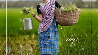      Aardanam Nalla Irukku