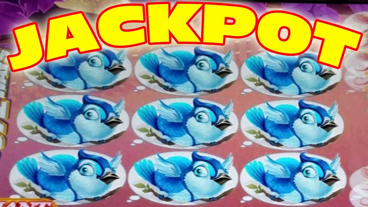 VEGASLOWROLLER WINS A BIG JACKPOT ★ HANDPAY!!! vegas low roller bullied